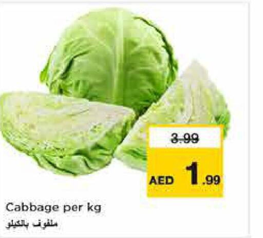  Cabbage  in نستو هايبرماركت in الإمارات العربية المتحدة , الامارات - أبو ظبي
