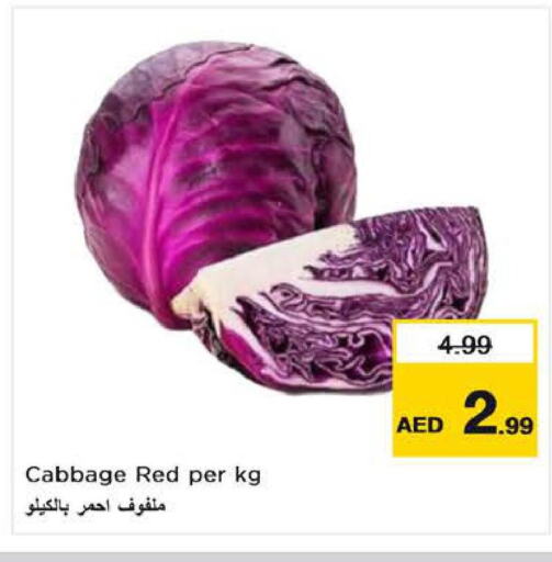  Cabbage  in نستو هايبرماركت in الإمارات العربية المتحدة , الامارات - ٱلْعَيْن‎