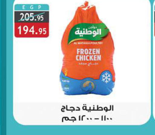  Frozen Whole Chicken  in الرايه  ماركت in Egypt - القاهرة