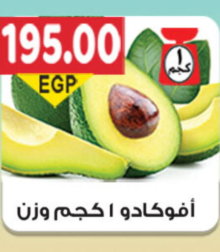  Avacado  in El Gizawy Market   in Egypt - Cairo