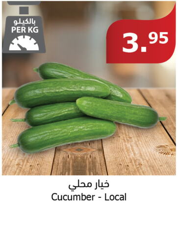  Cucumber  in الراية in مملكة العربية السعودية, السعودية, سعودية - القنفذة