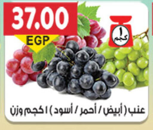  Grapes  in El Gizawy Market   in Egypt - Cairo
