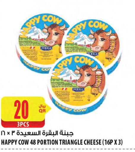  Triangle Cheese  in شركة الميرة للمواد الاستهلاكية in قطر - أم صلال