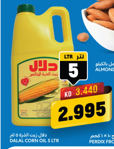 DALAL Corn Oil  in Oncost in Kuwait - Jahra Governorate
