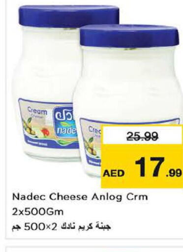 NADEC Cream Cheese  in لاست تشانس in الإمارات العربية المتحدة , الامارات - الشارقة / عجمان
