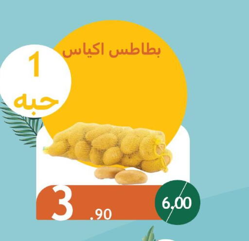  Potato  in Wholesale Economic Foods in KSA, Saudi Arabia, Saudi - Jeddah