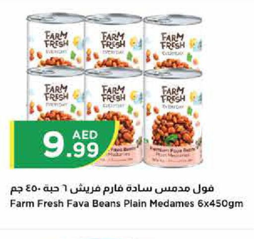  Fava Beans  in إسطنبول سوبرماركت in الإمارات العربية المتحدة , الامارات - ٱلْعَيْن‎
