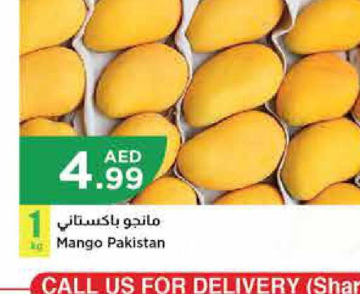  Mangoes  in Istanbul Supermarket in UAE - Abu Dhabi