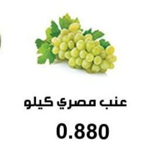  Grapes  in جمعية أبو فطيرة التعاونية in الكويت - مدينة الكويت