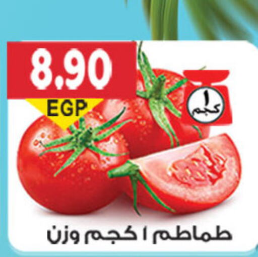  Tomato  in El Gizawy Market   in Egypt - Cairo