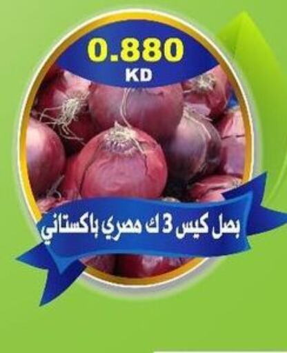  Onion  in جمعية ضاحية جابر العلي التعاونية in الكويت - محافظة الأحمدي