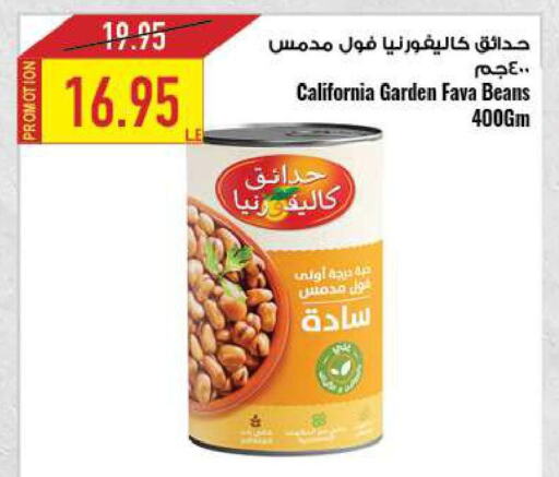 CALIFORNIA GARDEN Fava Beans  in Oscar Grand Stores  in Egypt - Cairo