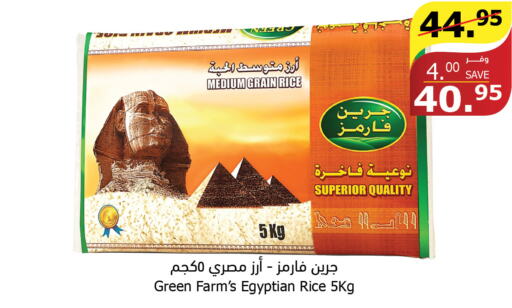  Egyptian / Calrose Rice  in Al Raya in KSA, Saudi Arabia, Saudi - Al Qunfudhah