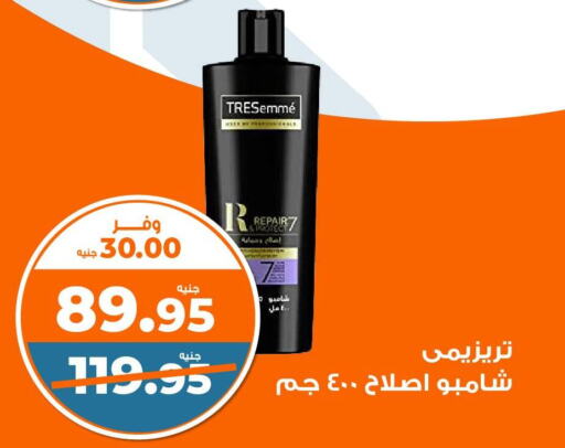  Shampoo / Conditioner  in كازيون in Egypt - القاهرة