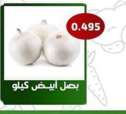 Onion  in جمعية فحيحيل التعاونية in الكويت - محافظة الأحمدي