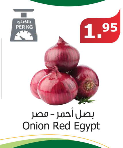 Onion  in Al Raya in KSA, Saudi Arabia, Saudi - Ta'if
