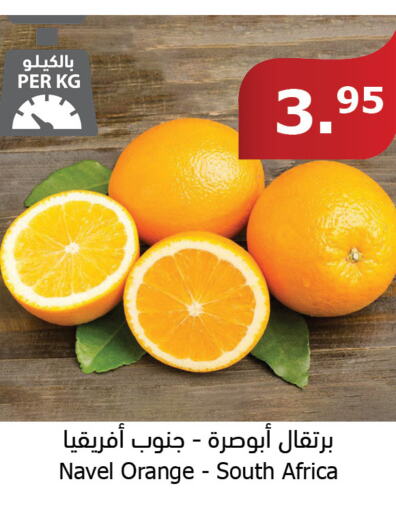  Orange  in الراية in مملكة العربية السعودية, السعودية, سعودية - القنفذة