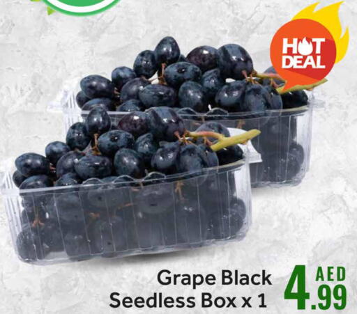  Grapes  in Mango Hypermarket LLC in UAE - Dubai