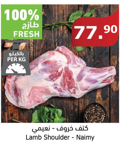  Mutton / Lamb  in الراية in مملكة العربية السعودية, السعودية, سعودية - نجران