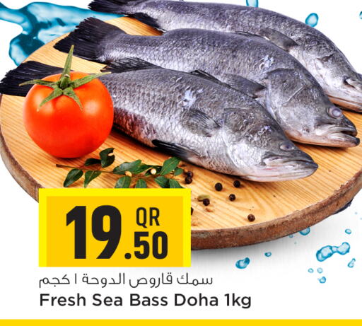  King Fish  in سفاري هايبر ماركت in قطر - الخور