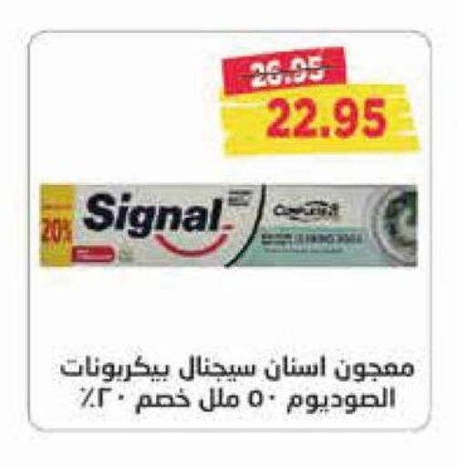 SIGNAL Toothpaste  in Metro Market  in Egypt - Cairo