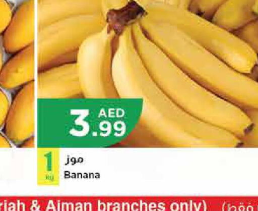  Banana  in Istanbul Supermarket in UAE - Ras al Khaimah