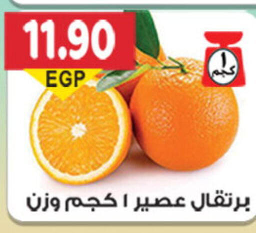 Orange  in El Gizawy Market   in Egypt - Cairo
