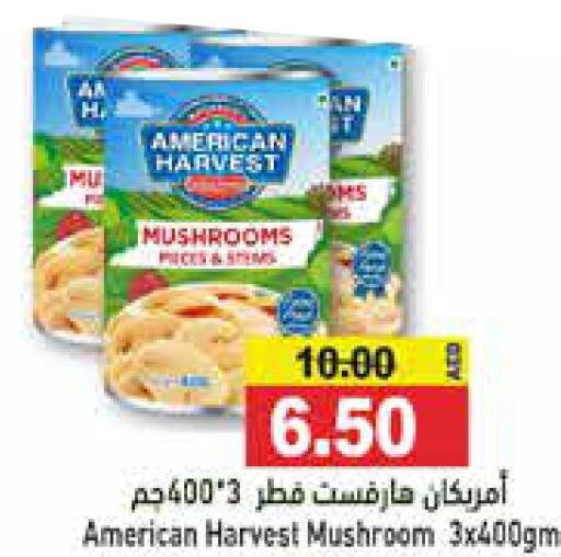 AMERICAN HARVEST   in أسواق رامز in الإمارات العربية المتحدة , الامارات - أبو ظبي
