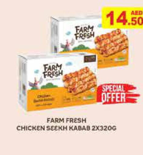 FARM FRESH Chicken Kabab  in أسواق رامز in الإمارات العربية المتحدة , الامارات - دبي