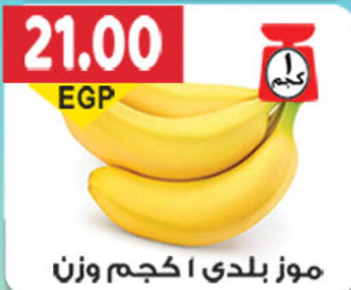  Banana  in El Gizawy Market   in Egypt - Cairo