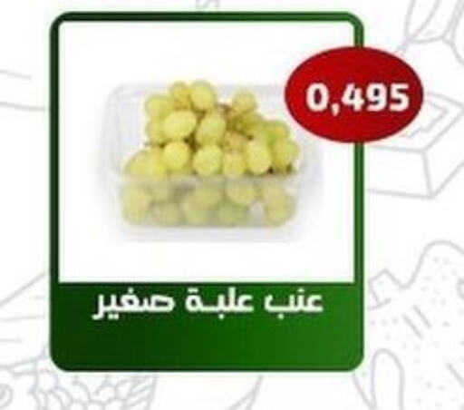  Grapes  in جمعية فحيحيل التعاونية in الكويت - مدينة الكويت