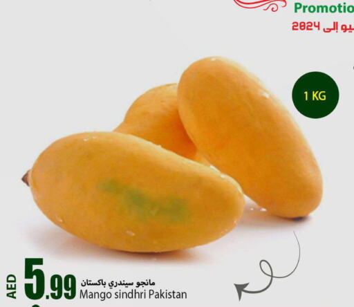 Mango Mango  in  روابي ماركت عجمان in الإمارات العربية المتحدة , الامارات - الشارقة / عجمان
