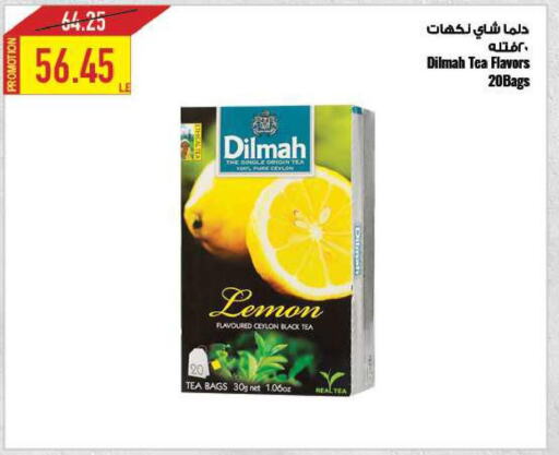 DILMAH Tea Bags  in Oscar Grand Stores  in Egypt - Cairo