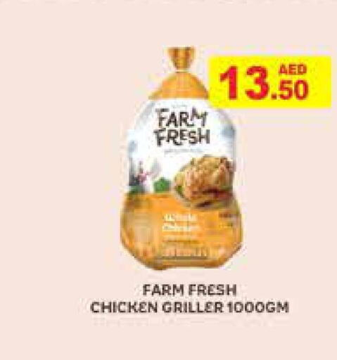 FARM FRESH Fresh Chicken  in أسواق رامز in الإمارات العربية المتحدة , الامارات - دبي