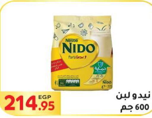 NIDO Milk Powder  in El Mahallawy Market  in Egypt - Cairo