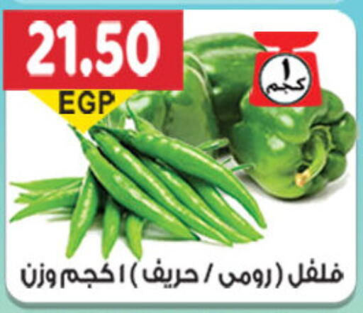  Chilli / Capsicum  in El Gizawy Market   in Egypt - Cairo