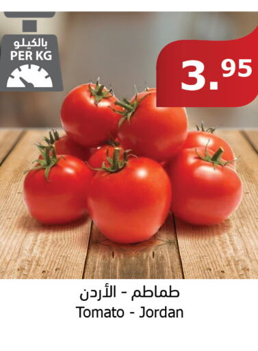  Tomato  in الراية in مملكة العربية السعودية, السعودية, سعودية - القنفذة
