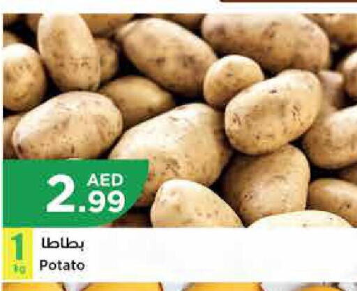  Potato  in إسطنبول سوبرماركت in الإمارات العربية المتحدة , الامارات - الشارقة / عجمان