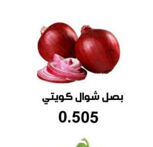  Onion  in جمعية أبو فطيرة التعاونية in الكويت - مدينة الكويت