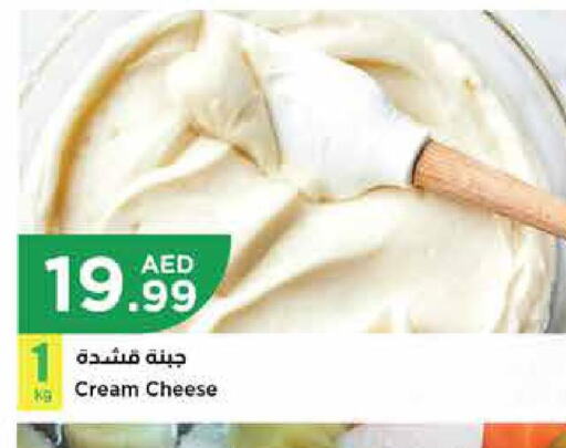  Cream Cheese  in إسطنبول سوبرماركت in الإمارات العربية المتحدة , الامارات - رَأْس ٱلْخَيْمَة