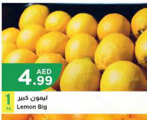 DEL MONTE   in Istanbul Supermarket in UAE - Al Ain