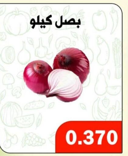  Onion  in جمعية ضاحية الظهر التعاونية in الكويت - محافظة الأحمدي