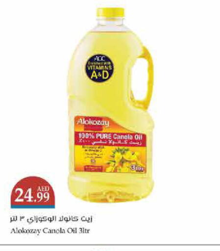 ALOKOZAY Canola Oil  in Trolleys Supermarket in UAE - Sharjah / Ajman