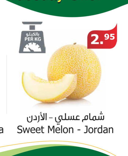  Sweet melon  in Al Raya in KSA, Saudi Arabia, Saudi - Al Qunfudhah