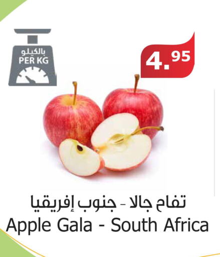  Apples  in الراية in مملكة العربية السعودية, السعودية, سعودية - القنفذة