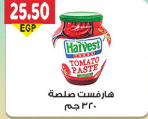  Tomato Paste  in El Gizawy Market   in Egypt - Cairo