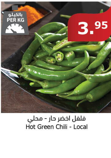  Chilli / Capsicum  in Al Raya in KSA, Saudi Arabia, Saudi - Al Qunfudhah