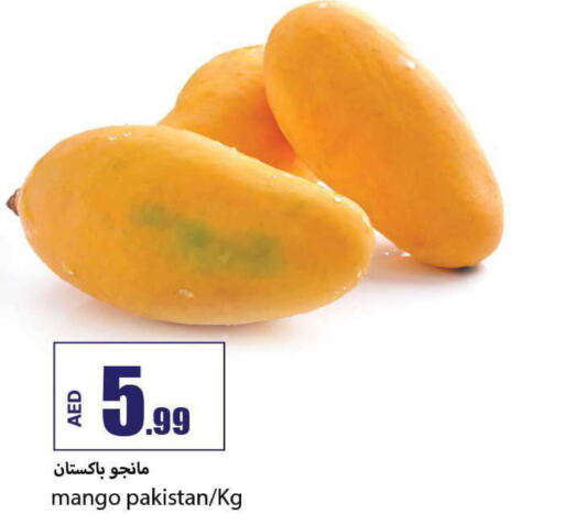 Mango Mango  in  روابي ماركت عجمان in الإمارات العربية المتحدة , الامارات - الشارقة / عجمان