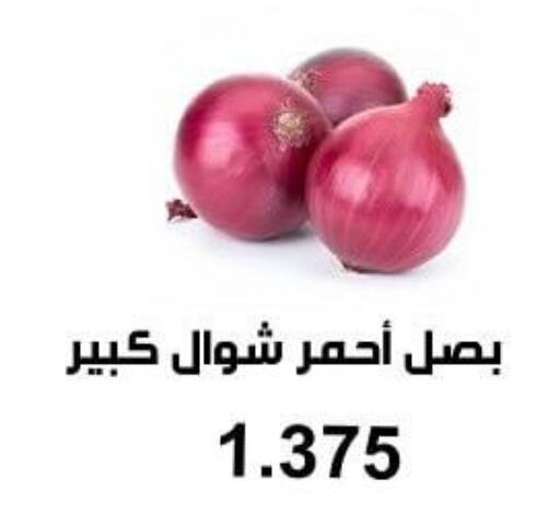  Onion  in جمعية أبو فطيرة التعاونية in الكويت - مدينة الكويت