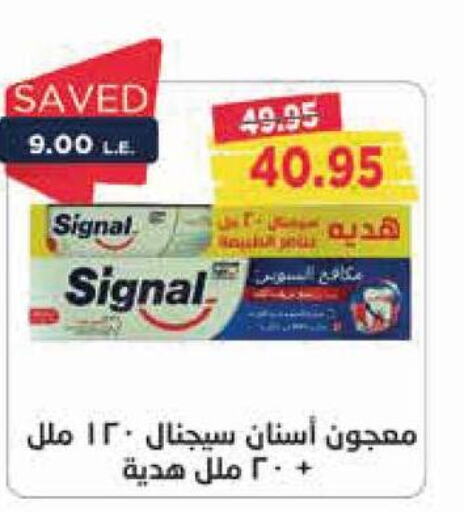 SIGNAL Toothpaste  in Metro Market  in Egypt - Cairo